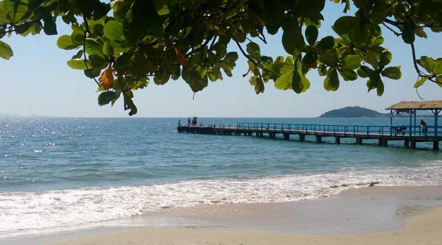 5 razones para que usted visite Canasvieiras en Florianópolis